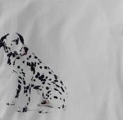 Dalmatian T Shirt Portrait Sitting GRAY Dog T Shirt Portrait Sitting T Shirt