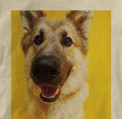 German Shepherd T Shirt Portrait TAN Dog T Shirt Portrait T Shirt