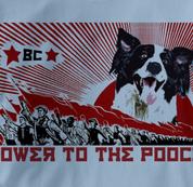 Border Collie T Shirt Power to the Pooch BLUE Dog T Shirt Power to the Pooch T Shirt