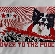 Border Collie T Shirt Power to the Pooch GRAY Dog T Shirt Power to the Pooch T Shirt