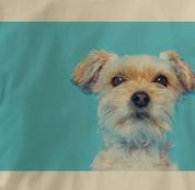 Jack Russell Terrier T Shirt Portrait TAN Dog T Shirt Portrait T Shirt